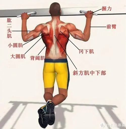 网球拍2支白色是什么